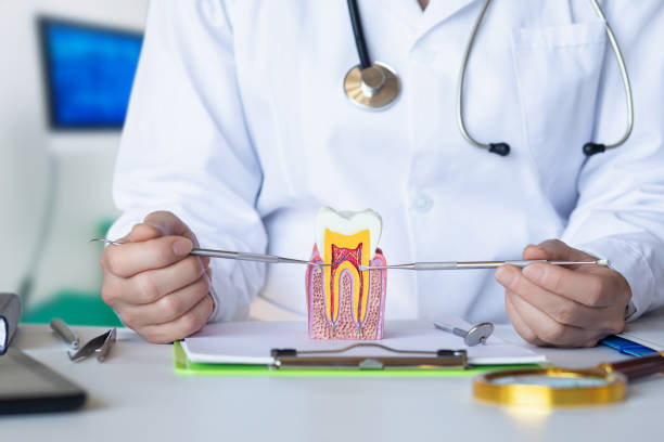 Best Pediatric Emergency Dentist in Lakeland, NY